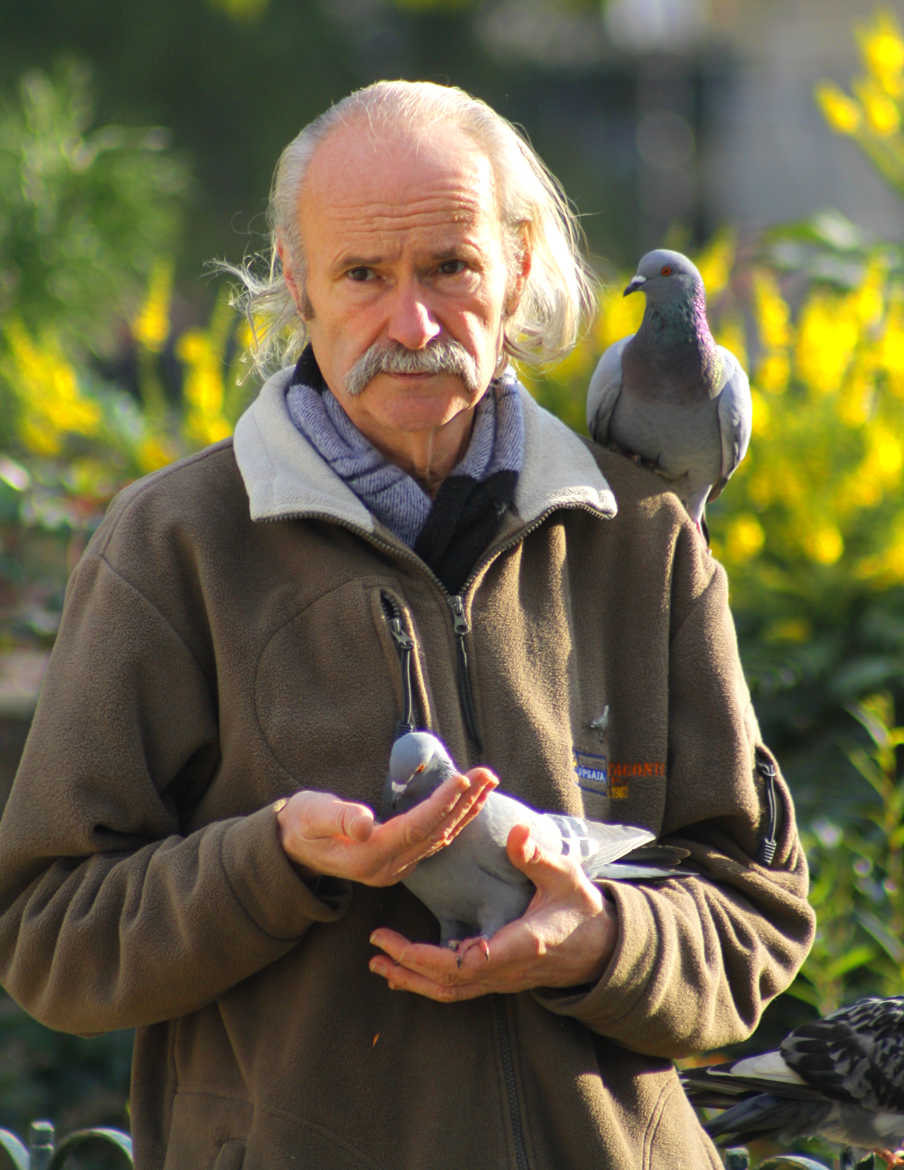L'homme aux pigeons