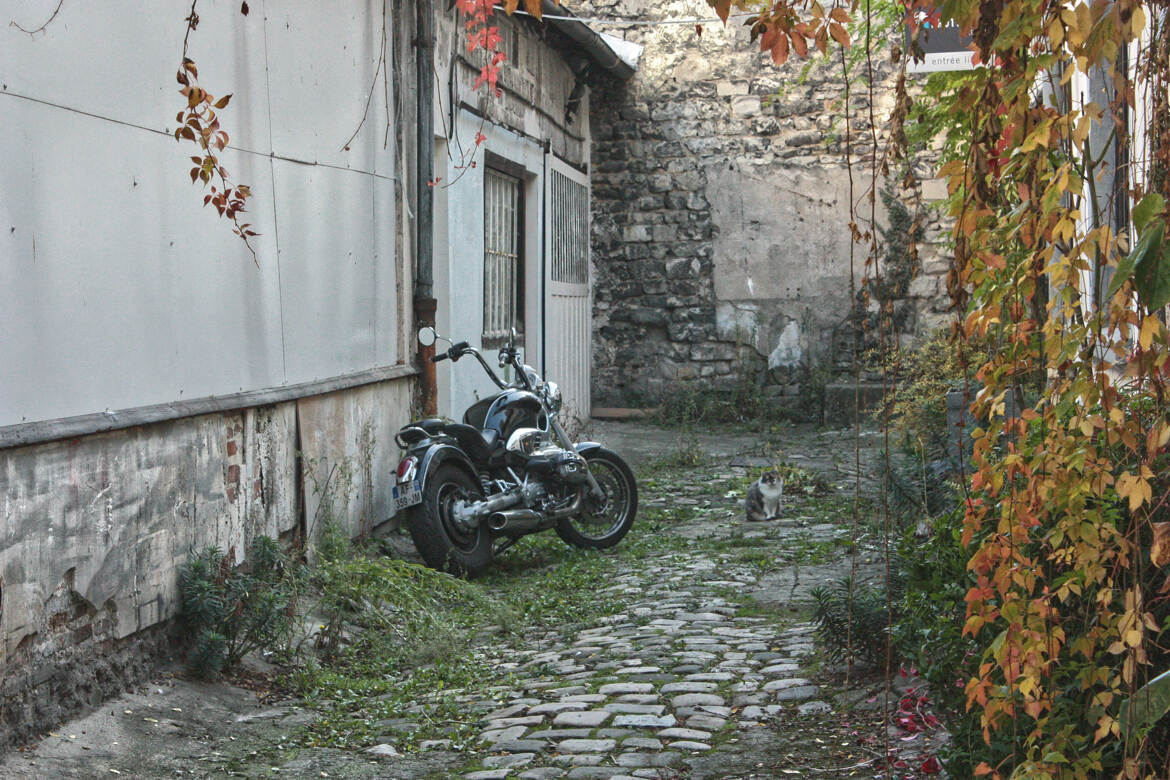 Le chat garde la moto