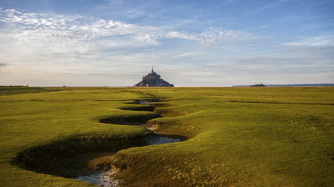 Les prés salés du Saint Michel