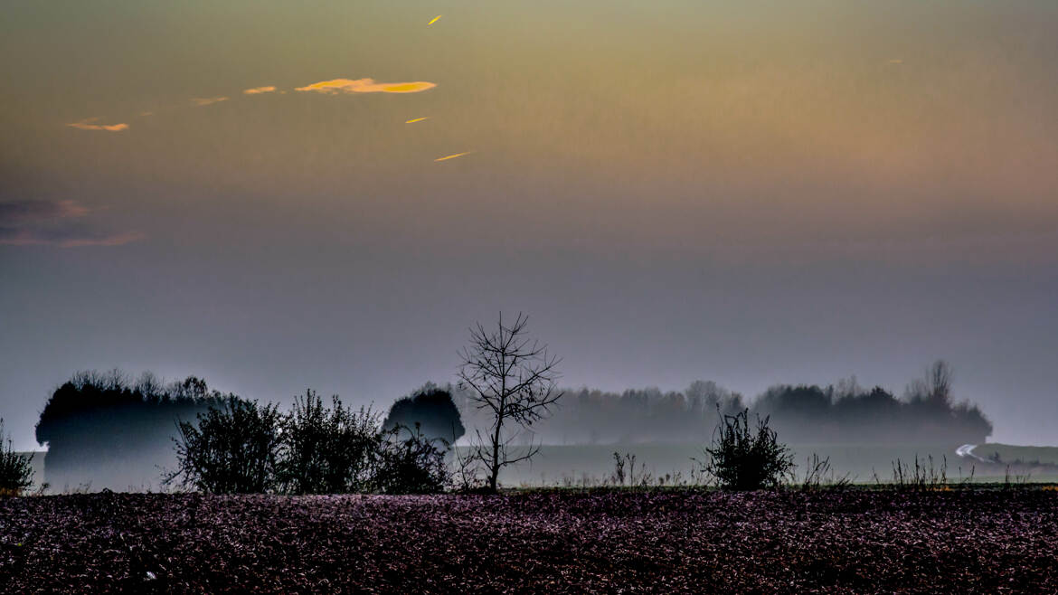 Dans la brume.