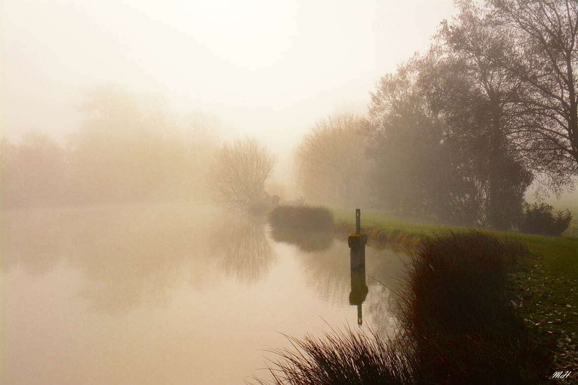 Etang de brume