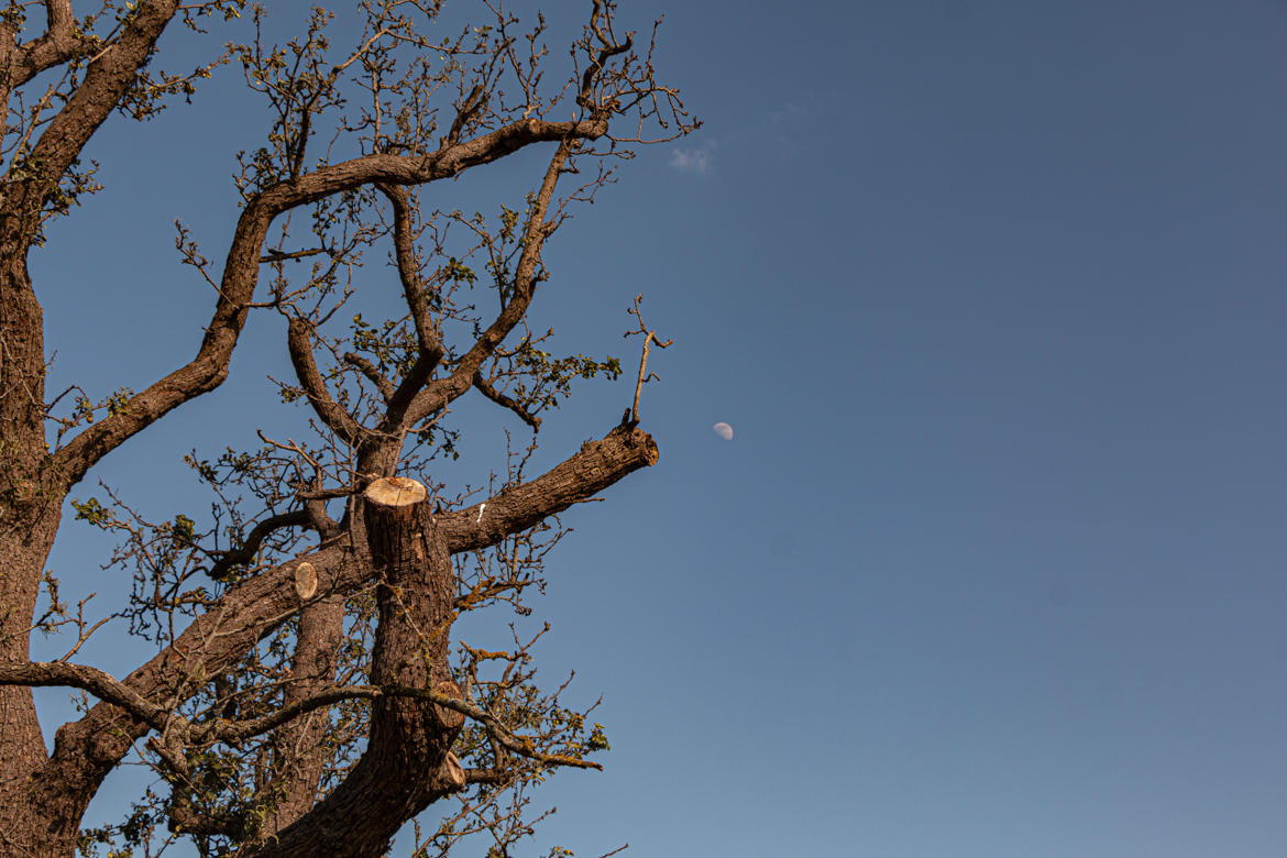 objectif lune tête