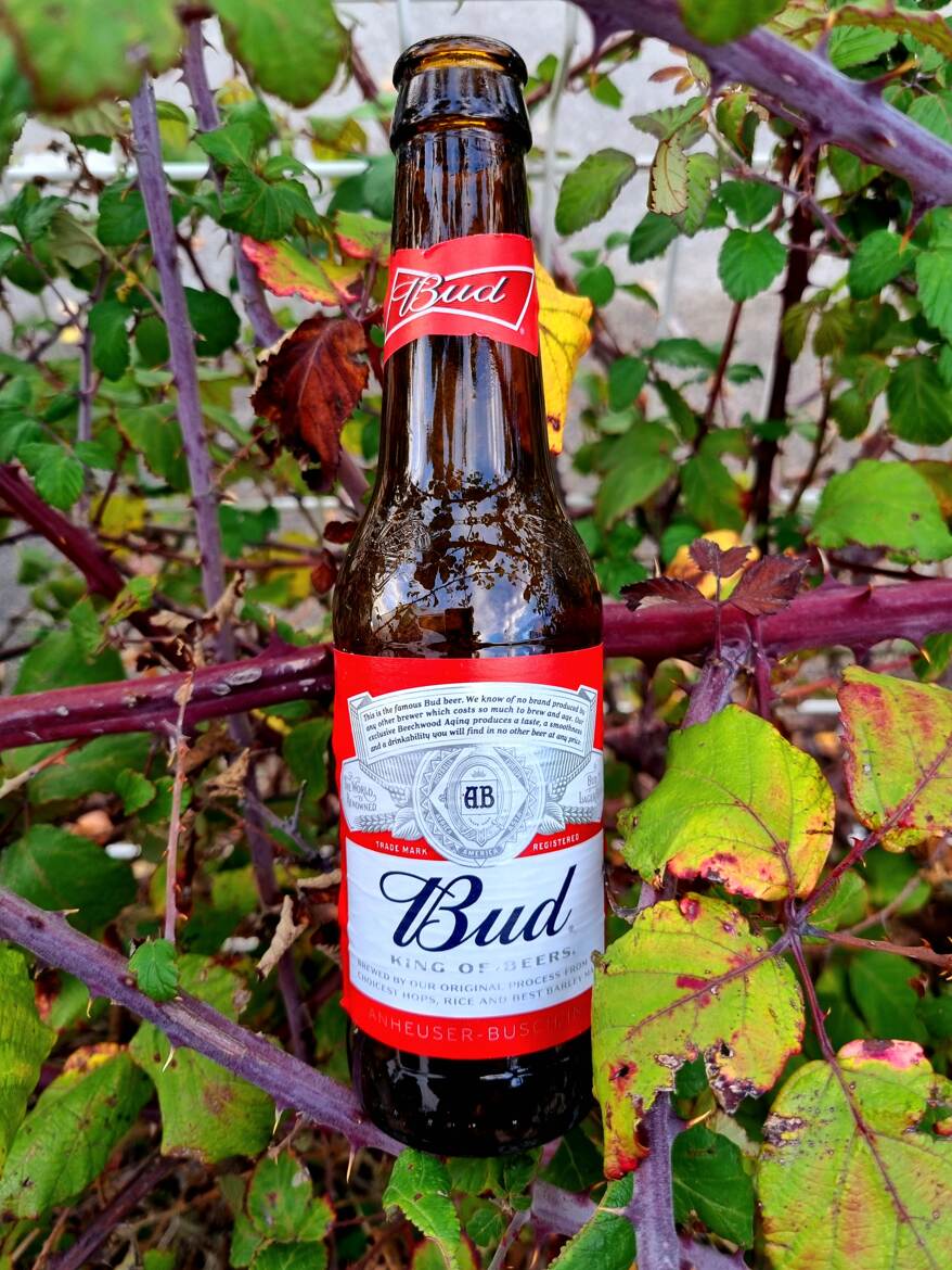 Bud piquante