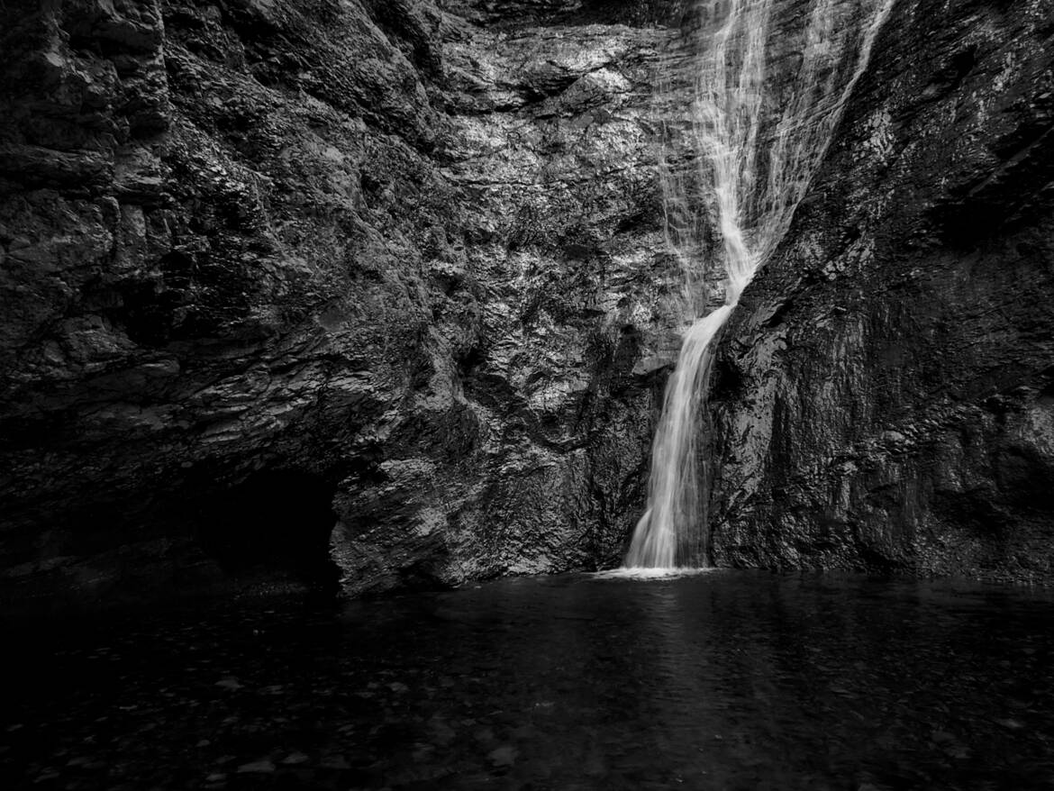 Nature monochrome (23)