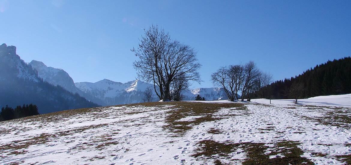 En quête d'oeuf de Pâques