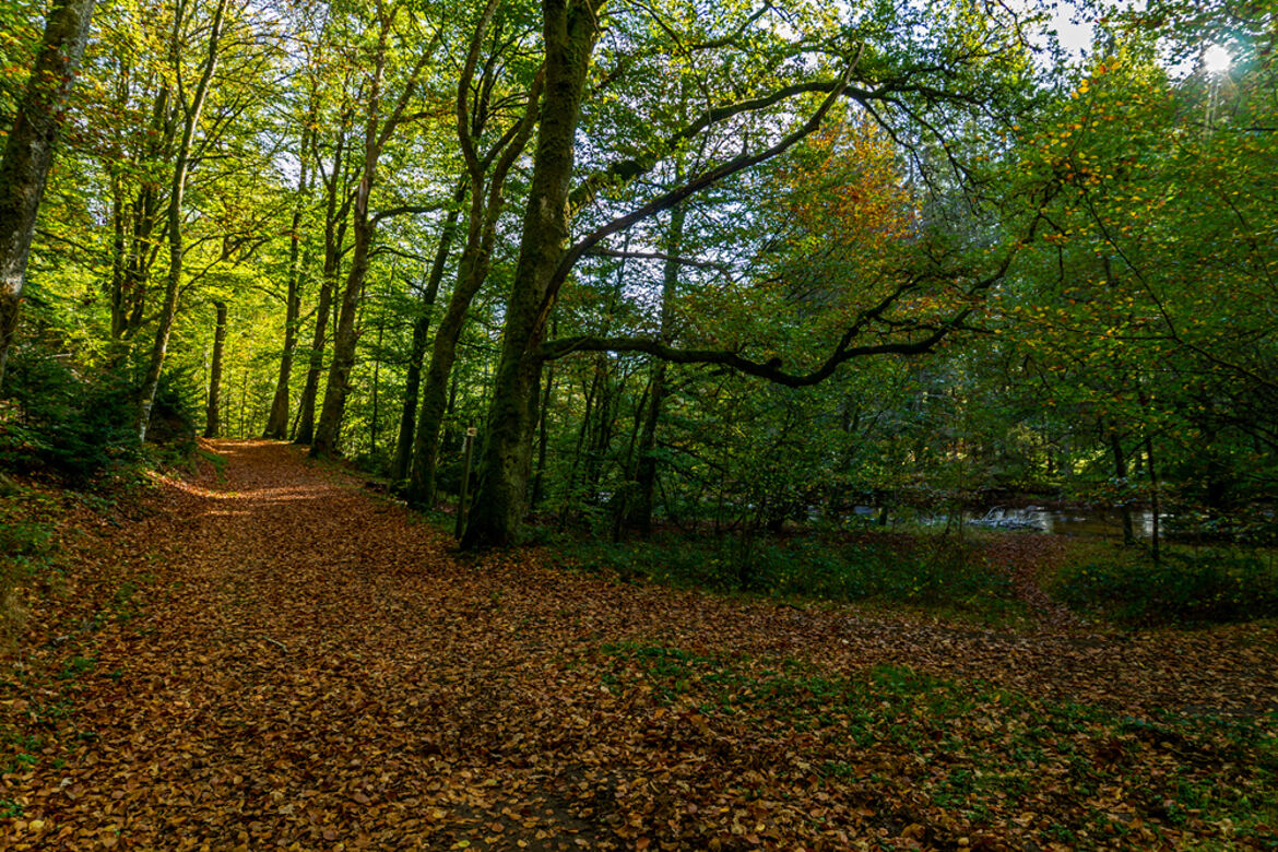 Promenade au bord de l'eau