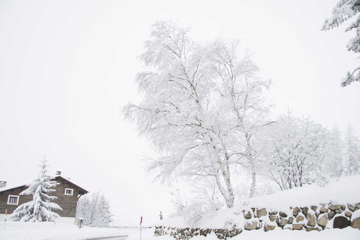 Blanc plus blanc