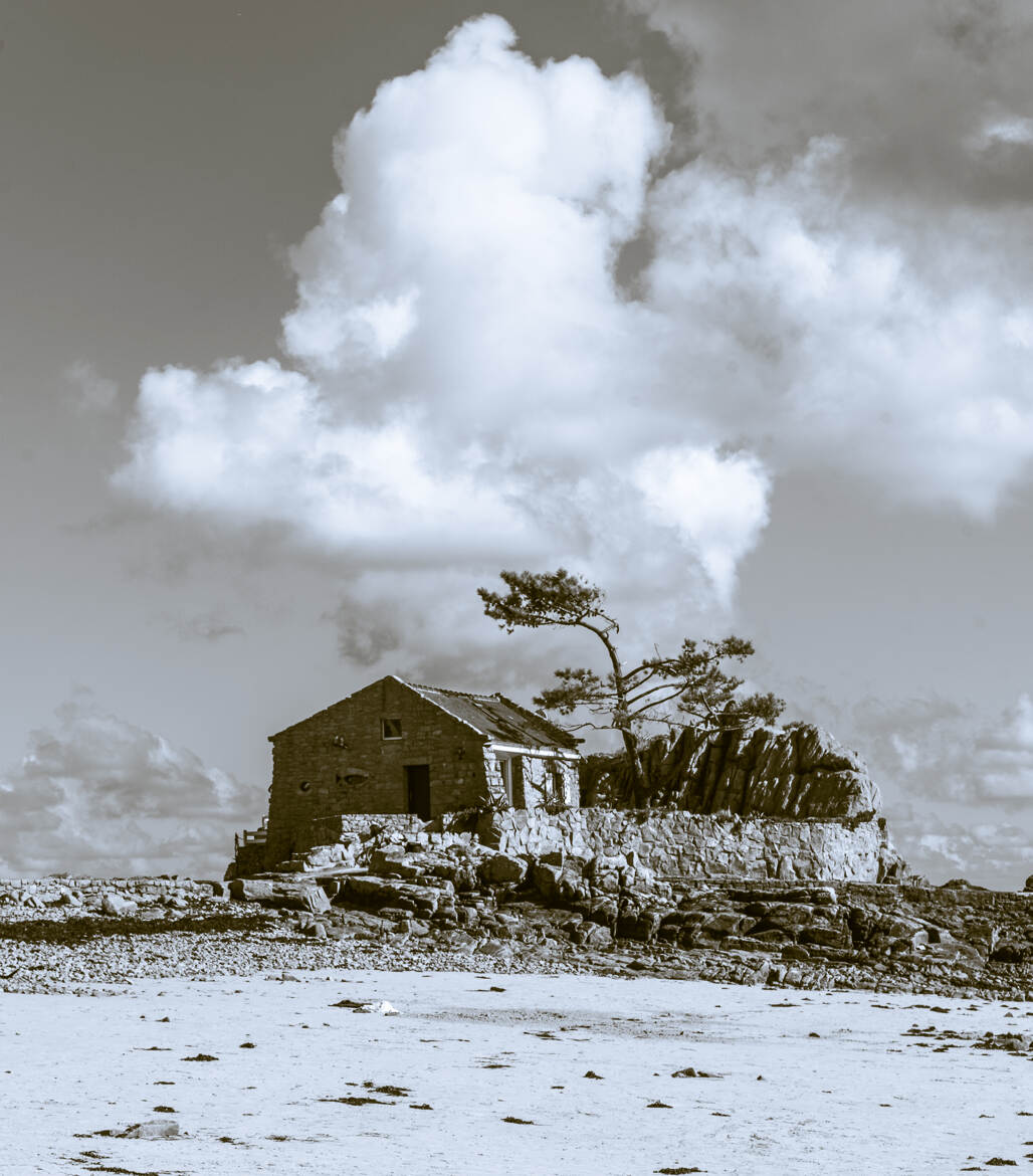 Sous l'ombre du vent et du sel