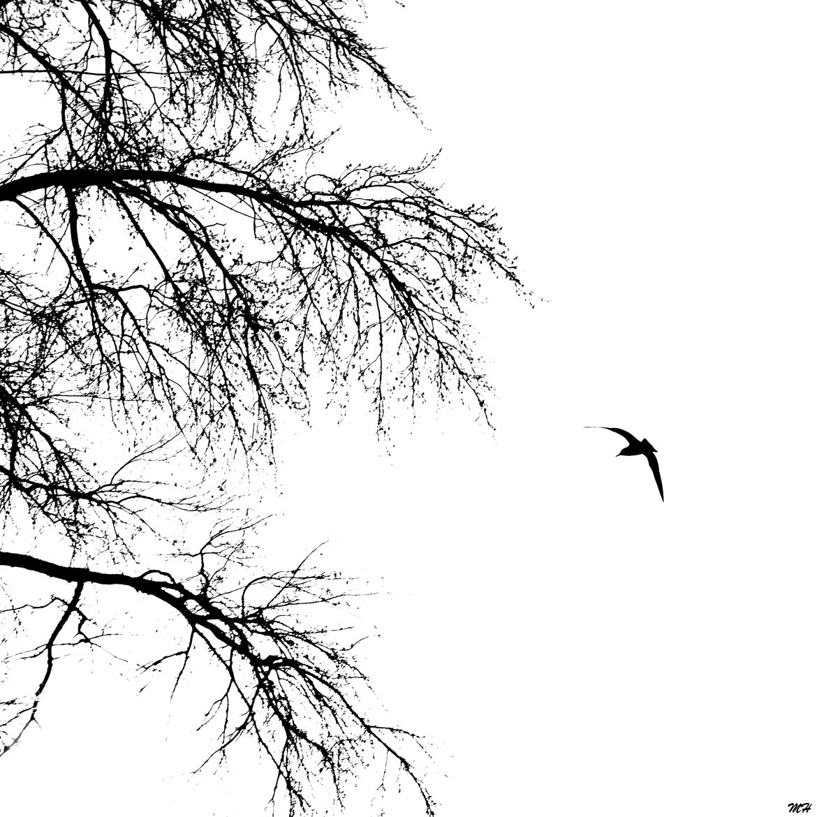 L'oiseau et l'arbre