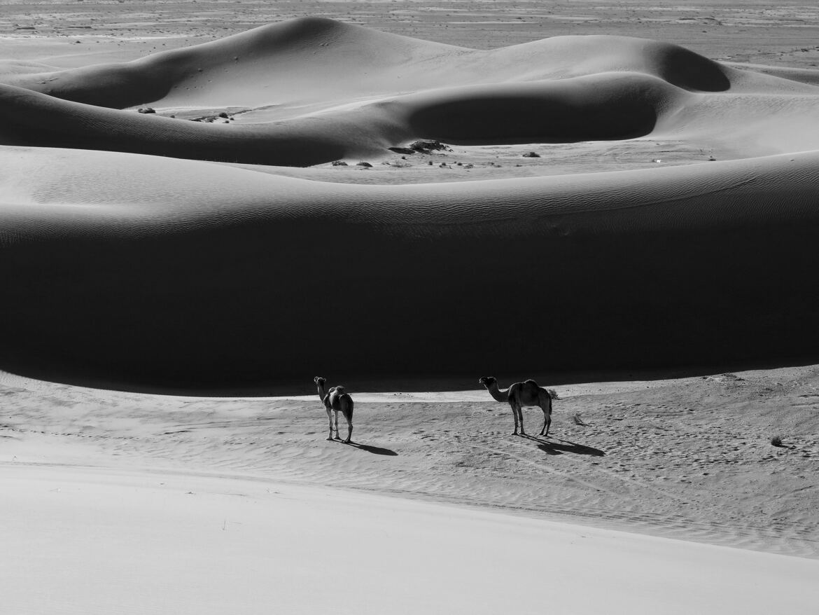 Trek Maroc