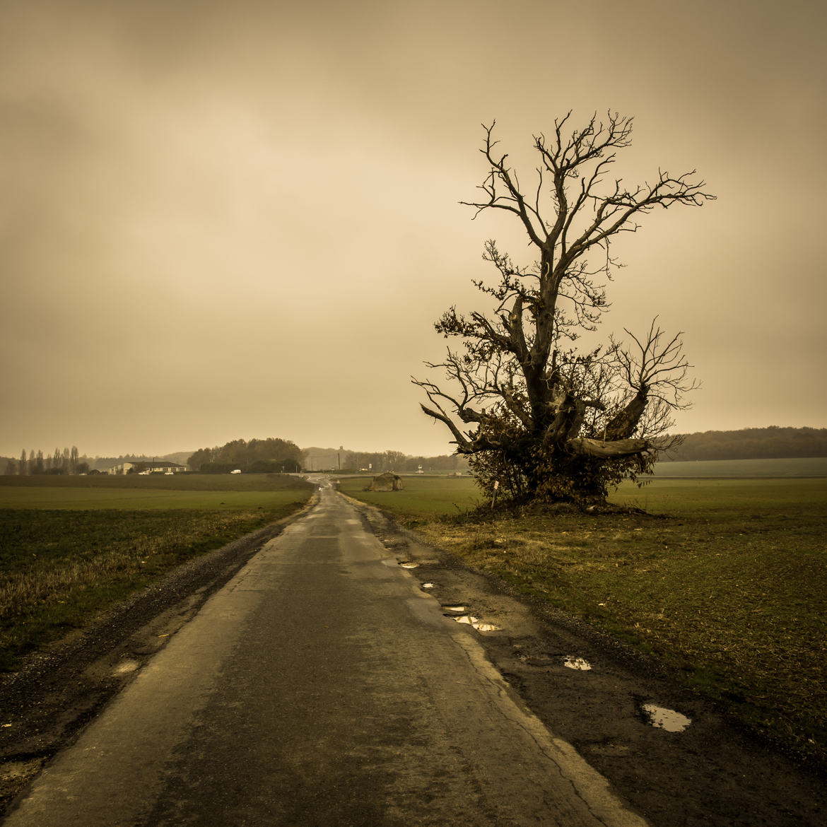 Campagne poitevine