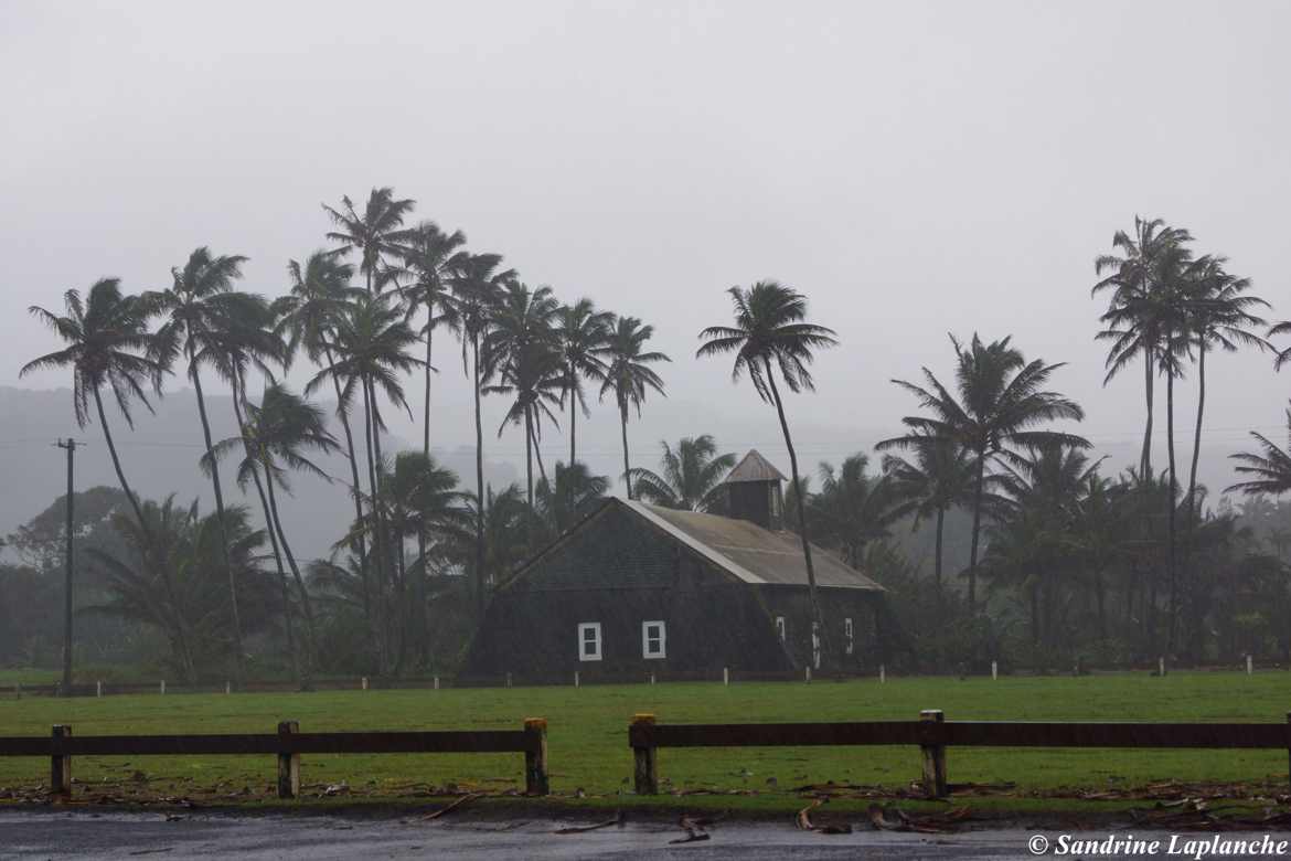 Le climat tropical