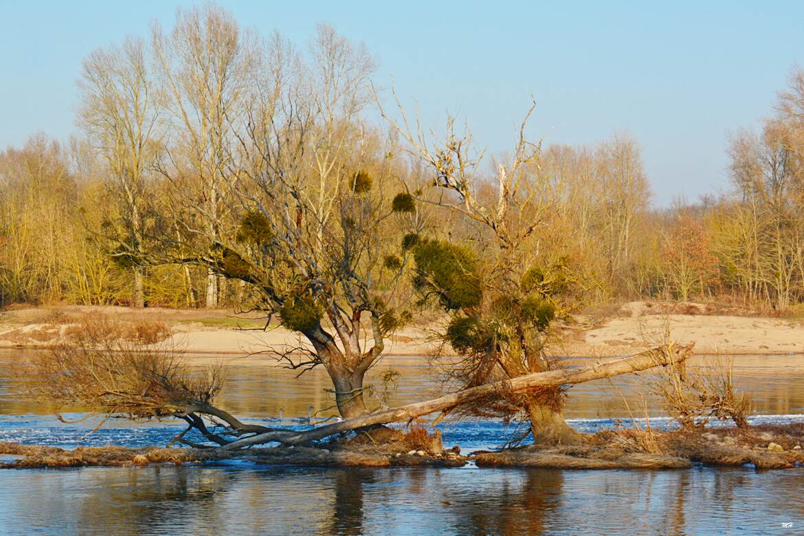 Loire de janvier