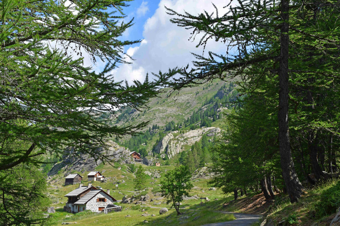 Vallée de la Clarée