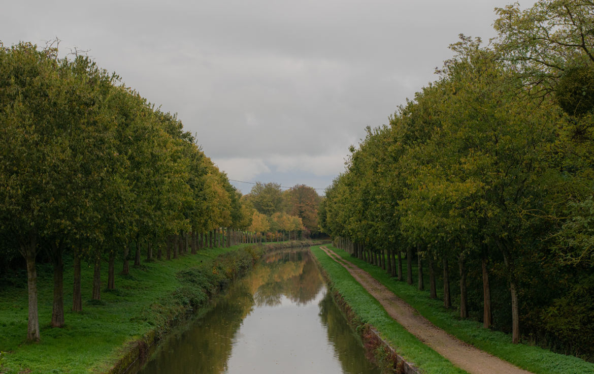 Canal en novembre (2)