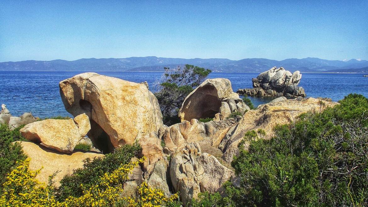 Là où mes pas me mènent