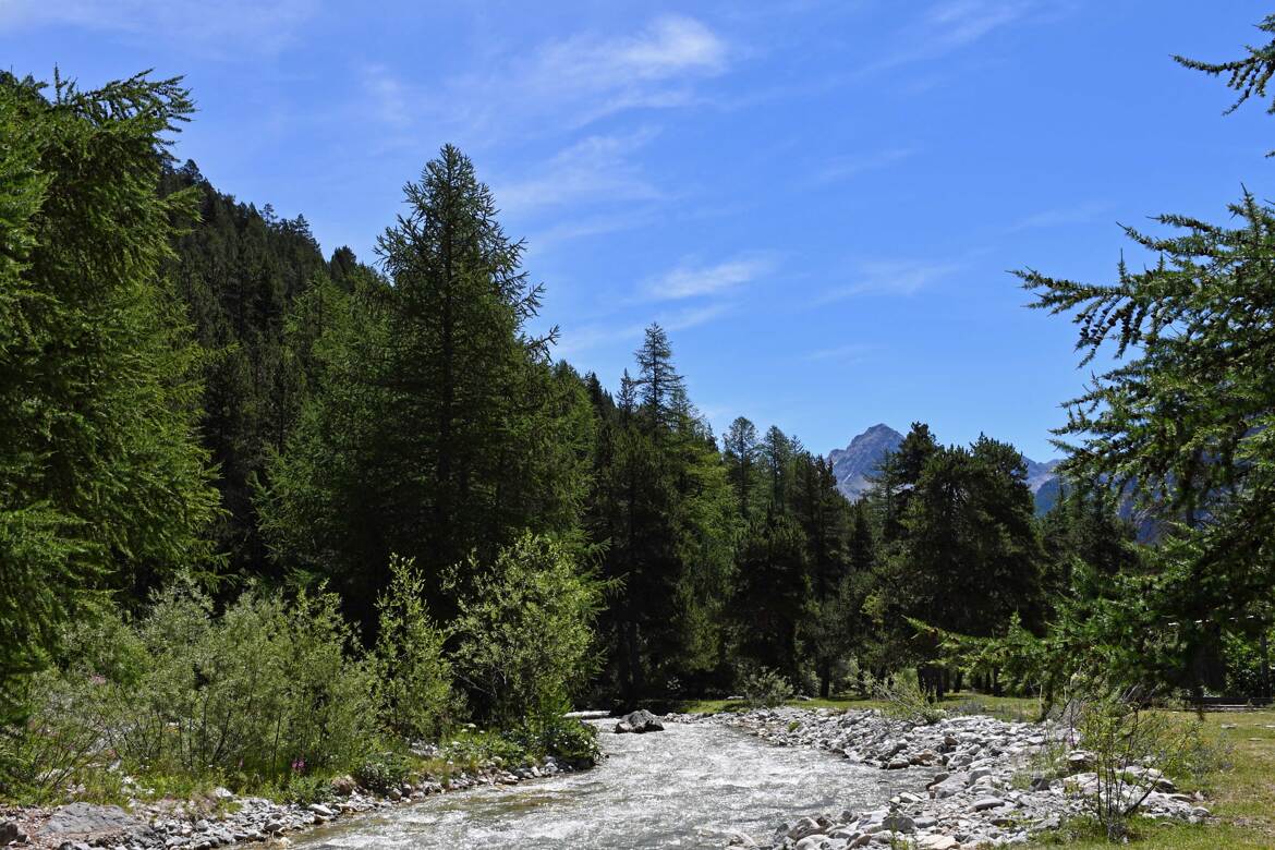 Torrent de montagne