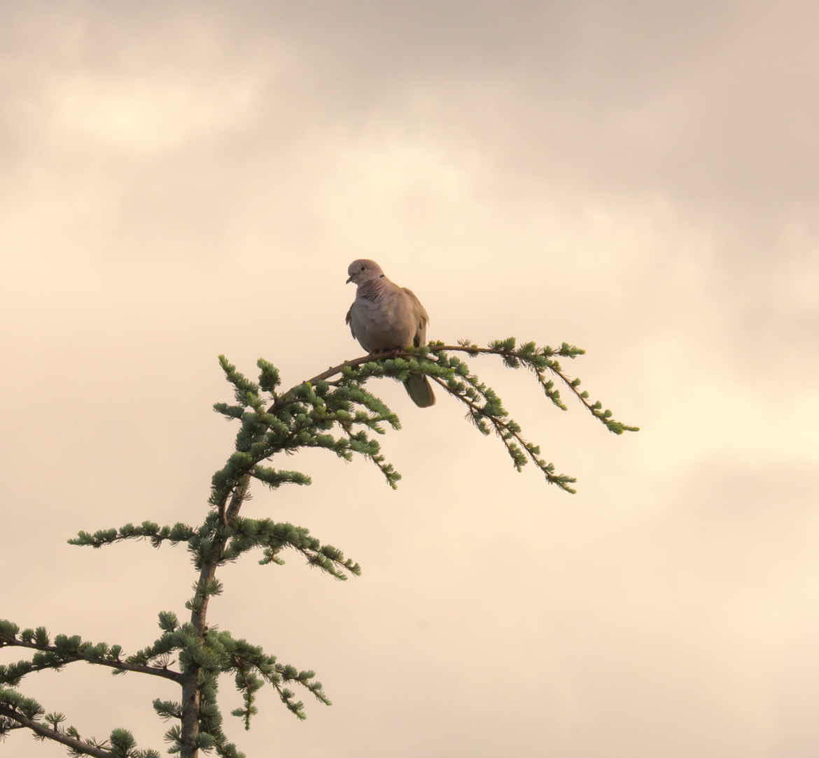 Une pose bien méritée