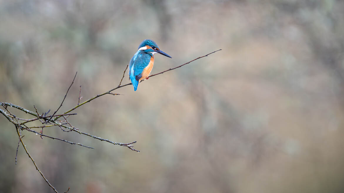 Une p'tite touche de couleurs