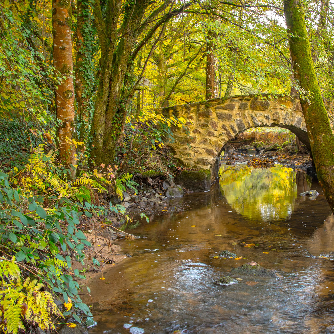 L'auzette et son petit pont de pierres