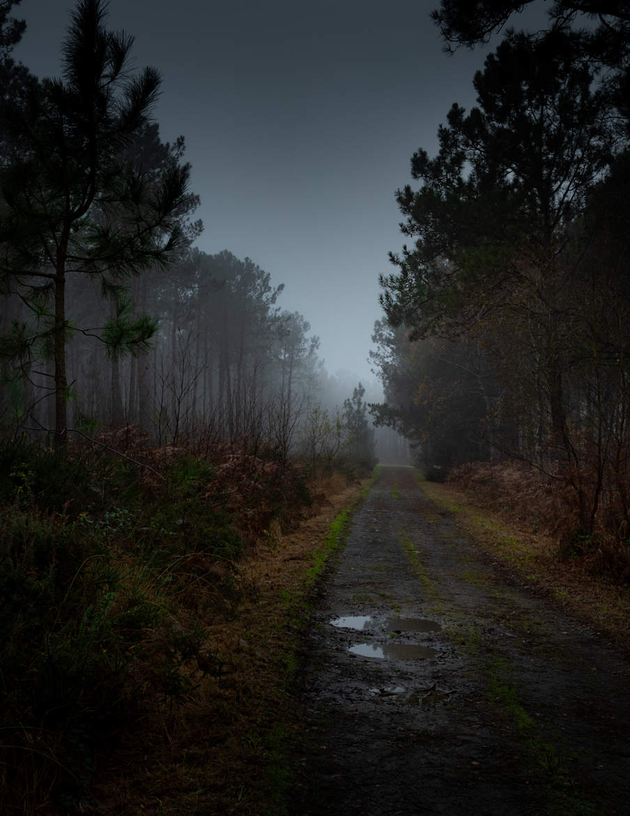 la brume du matin