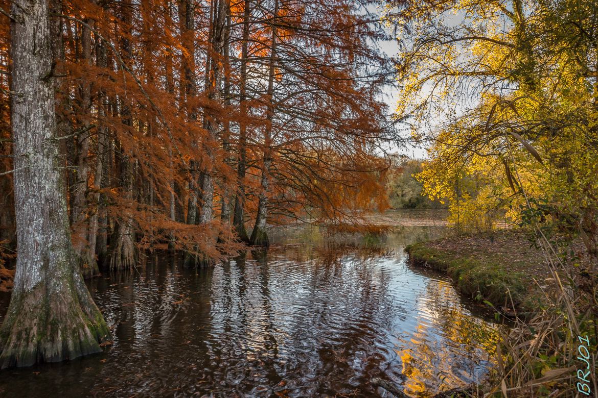 Orange et Jaune