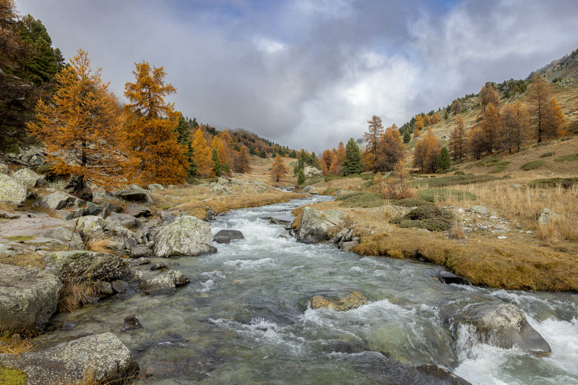 Au milieu coule une rivière