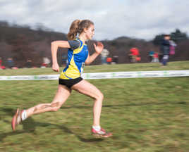 Détermination féminine