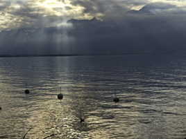 rayons de soleil sur le lac Léman