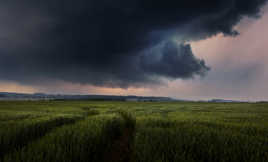 J’ai senti une goutte...