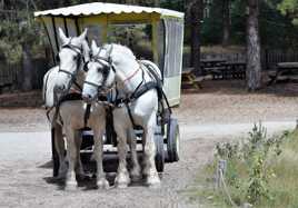 Parc du Marquenterre