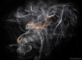 Fum'art...l'envolée