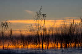 De feu et de glace