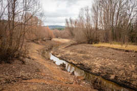 Le lac de Saint-Cassien