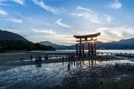 Quand la marée s'en va