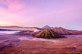 Le mont Bromo à l'aube