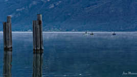 Peche au petit matin
