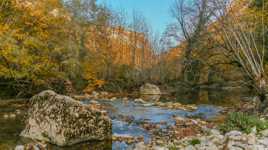 Petite rivière tranquille