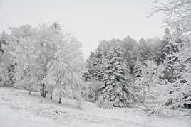 L'hiver dans ma campagne