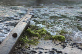 Envahie par l'océan