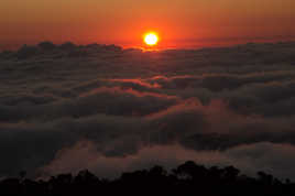 couché de soleil sur mer de nuage