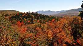 Orange et vert dans le Vermont