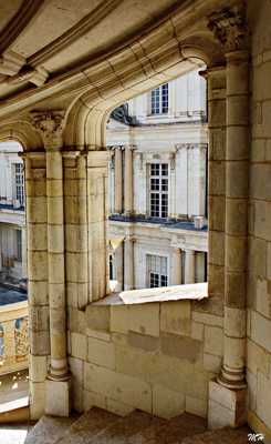 Château de Blois 2