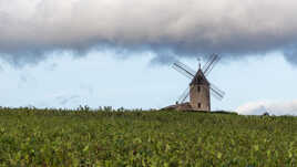 Moulin en Beaujolais