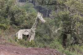 Paréidolie: à quoi pensez-vous ?