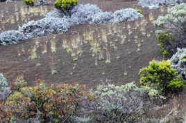 Lave vers le Piton de La Fournaise