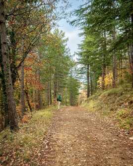 Le randonneur contemplatif