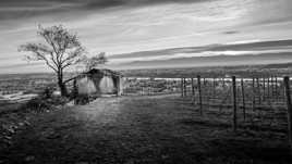 La maison abandonnée! V2