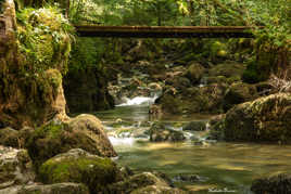 Aller prendre le pont