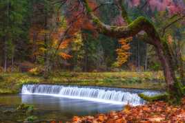 Couleurs de l'automne